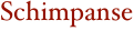 Schimpanse